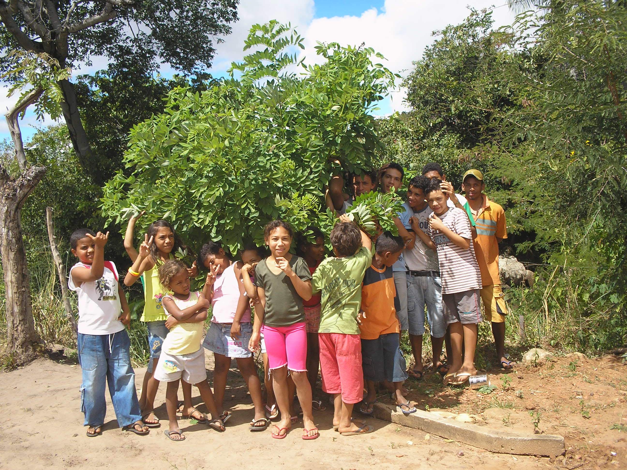 carrapatocultural.com